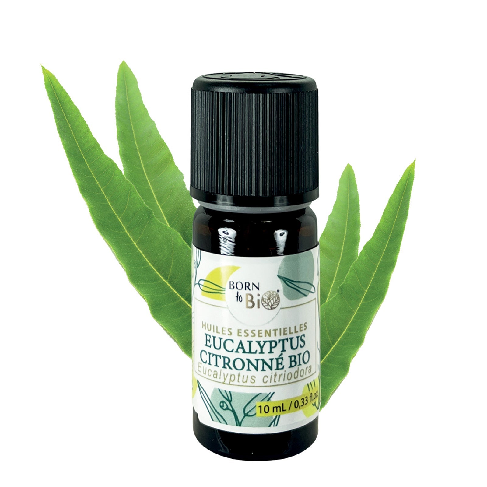 Huile essentielle Eucalyptus citronné Certifiée Bio - 10mL