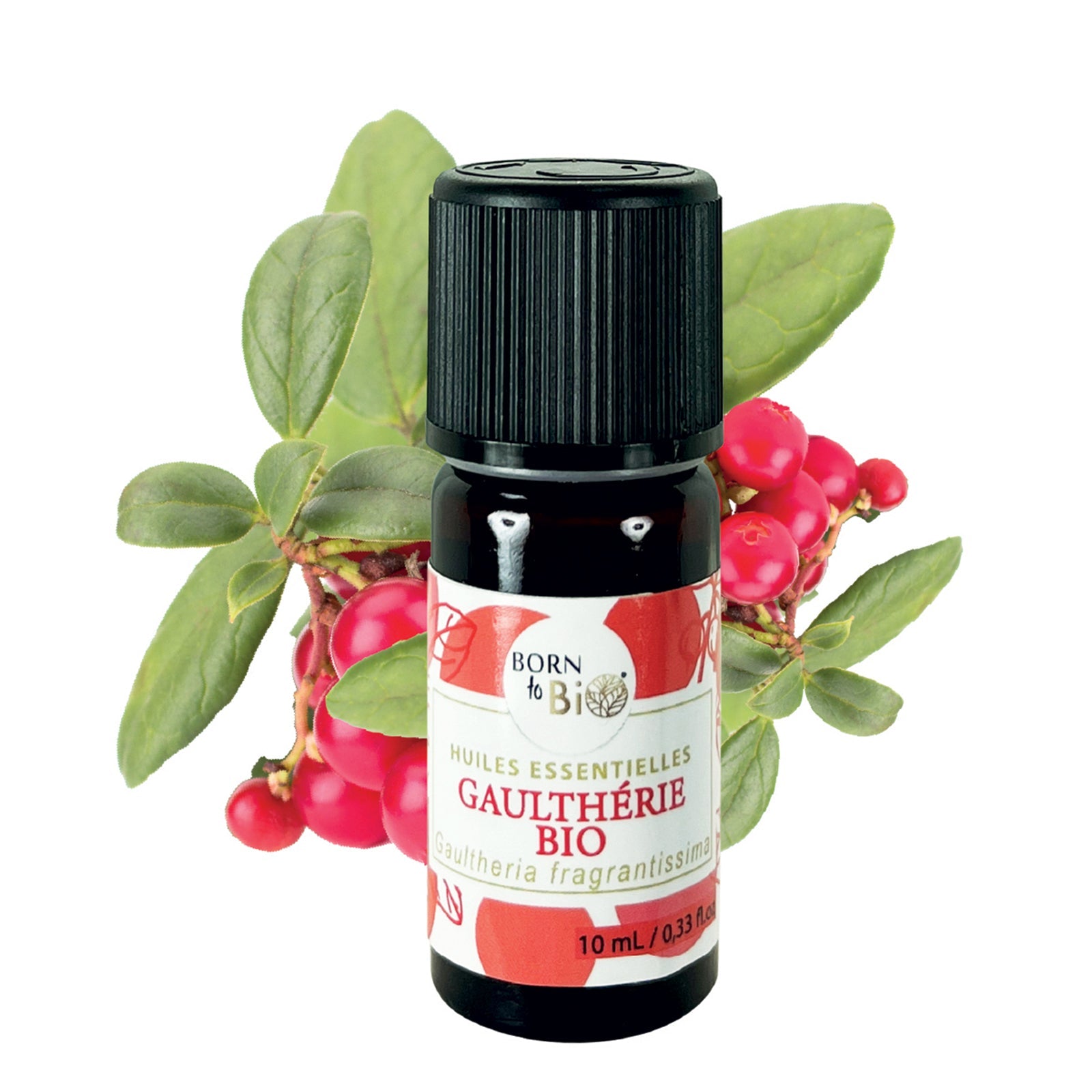Huile essentielle Gaulthérie Certifiée Bio - 10mL