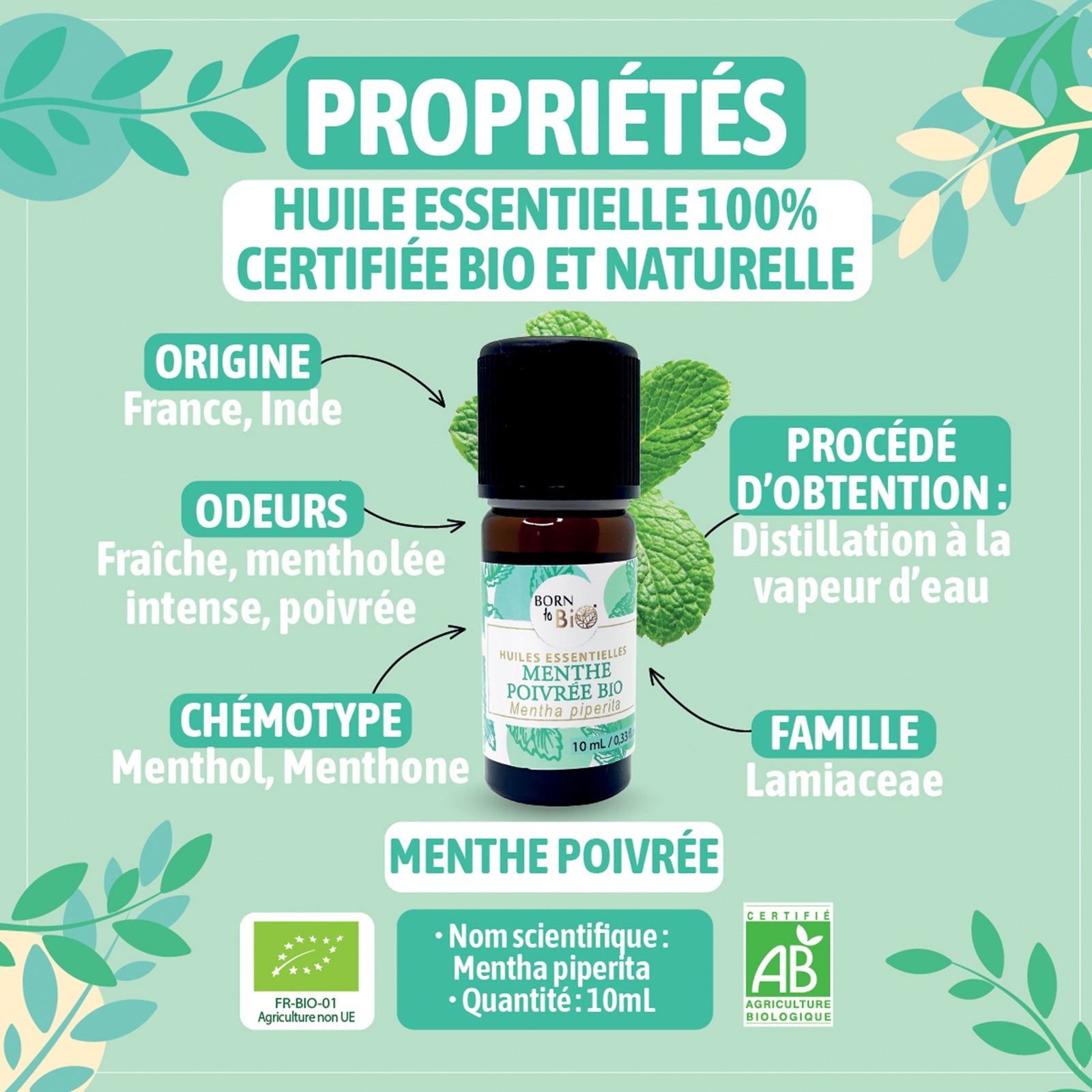 Huile essentielle Menthe poivrée Certifiée Bio - 10mL