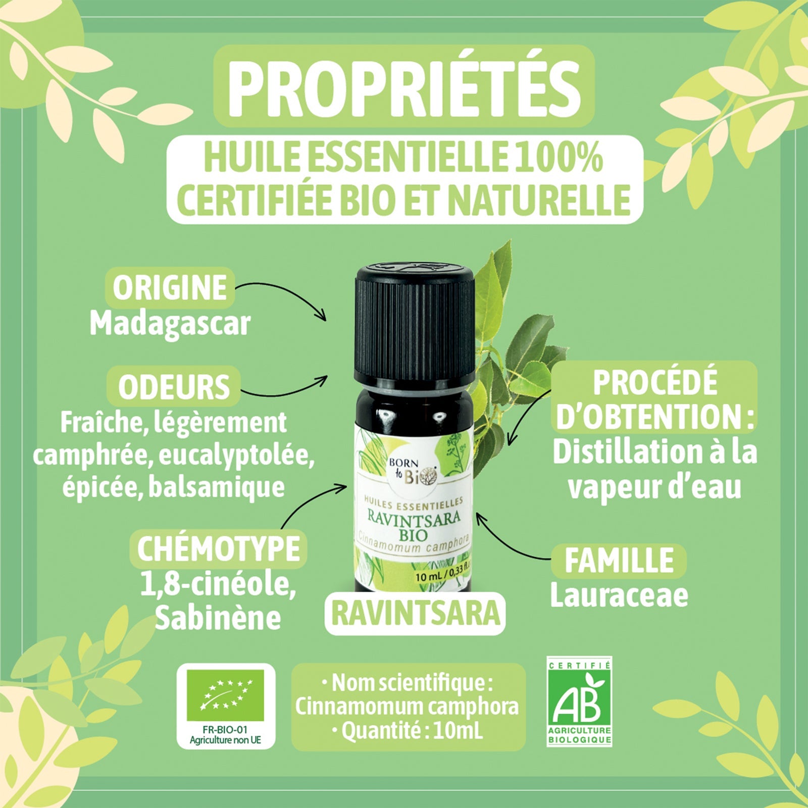 Huile essentielle Ravintsara Certifiée Bio - 10mL
