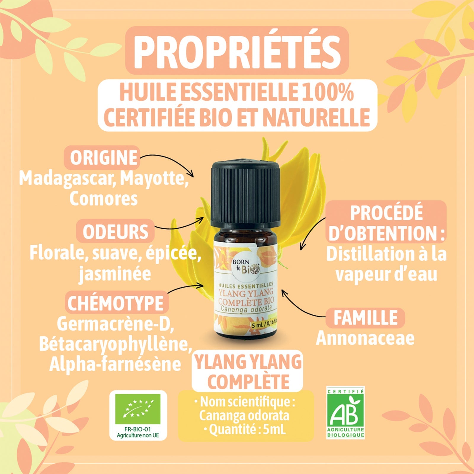 Huile essentielle Ylang ylang complète Bio - 5mL