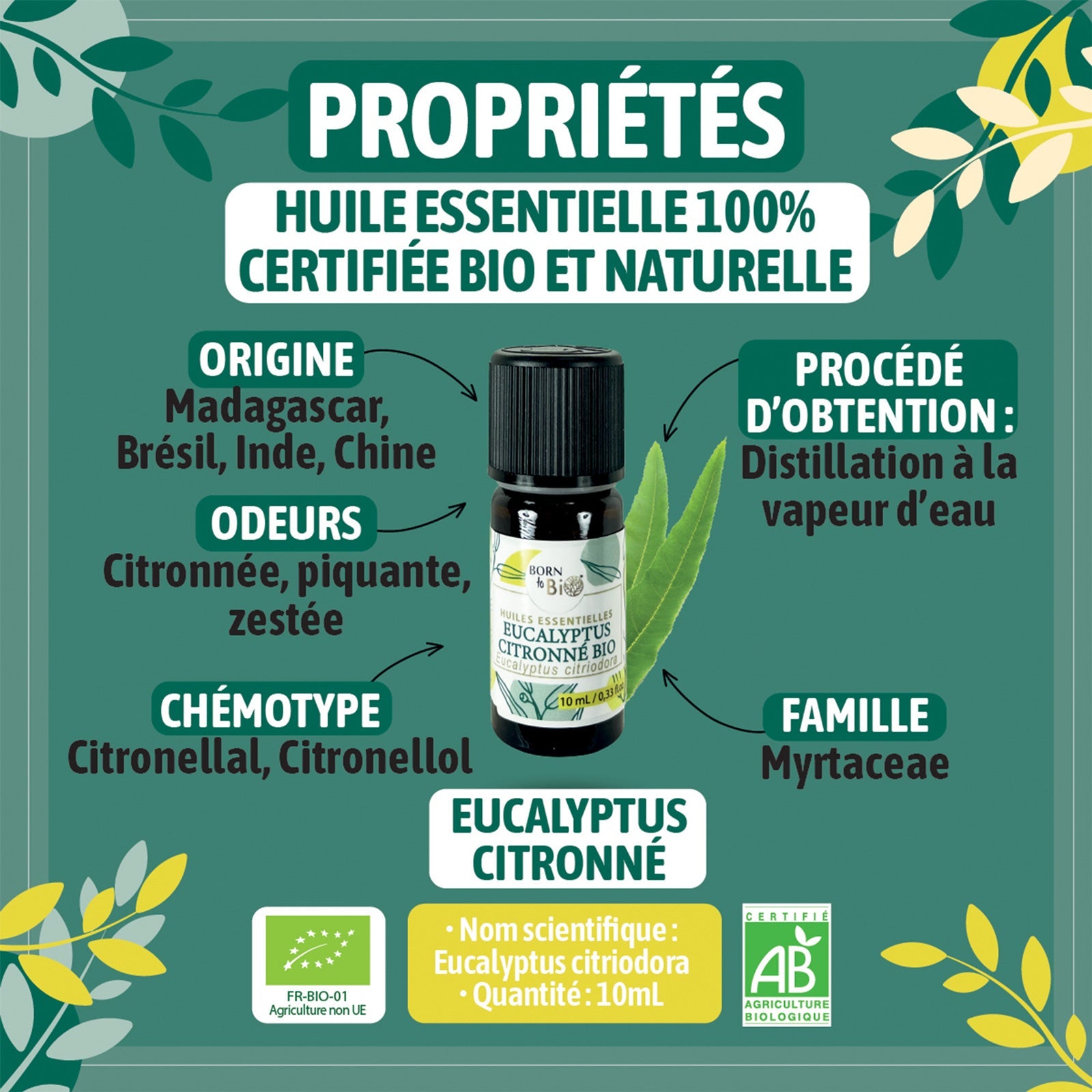 Huile essentielle Eucalyptus citronné Certifiée Bio - 10mL