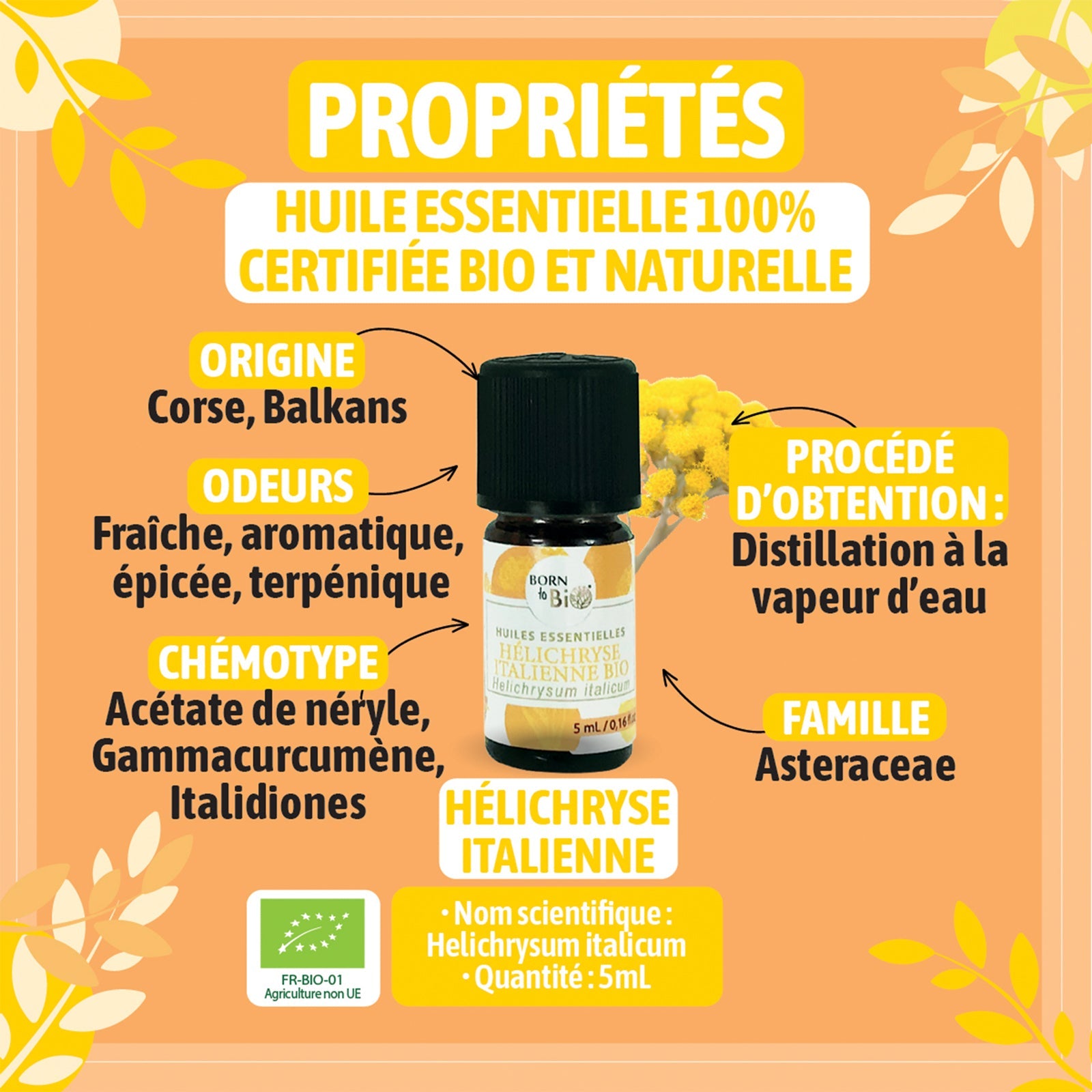 Huile essentielle Hélichryse italienne Certifiée Bio - 5mL