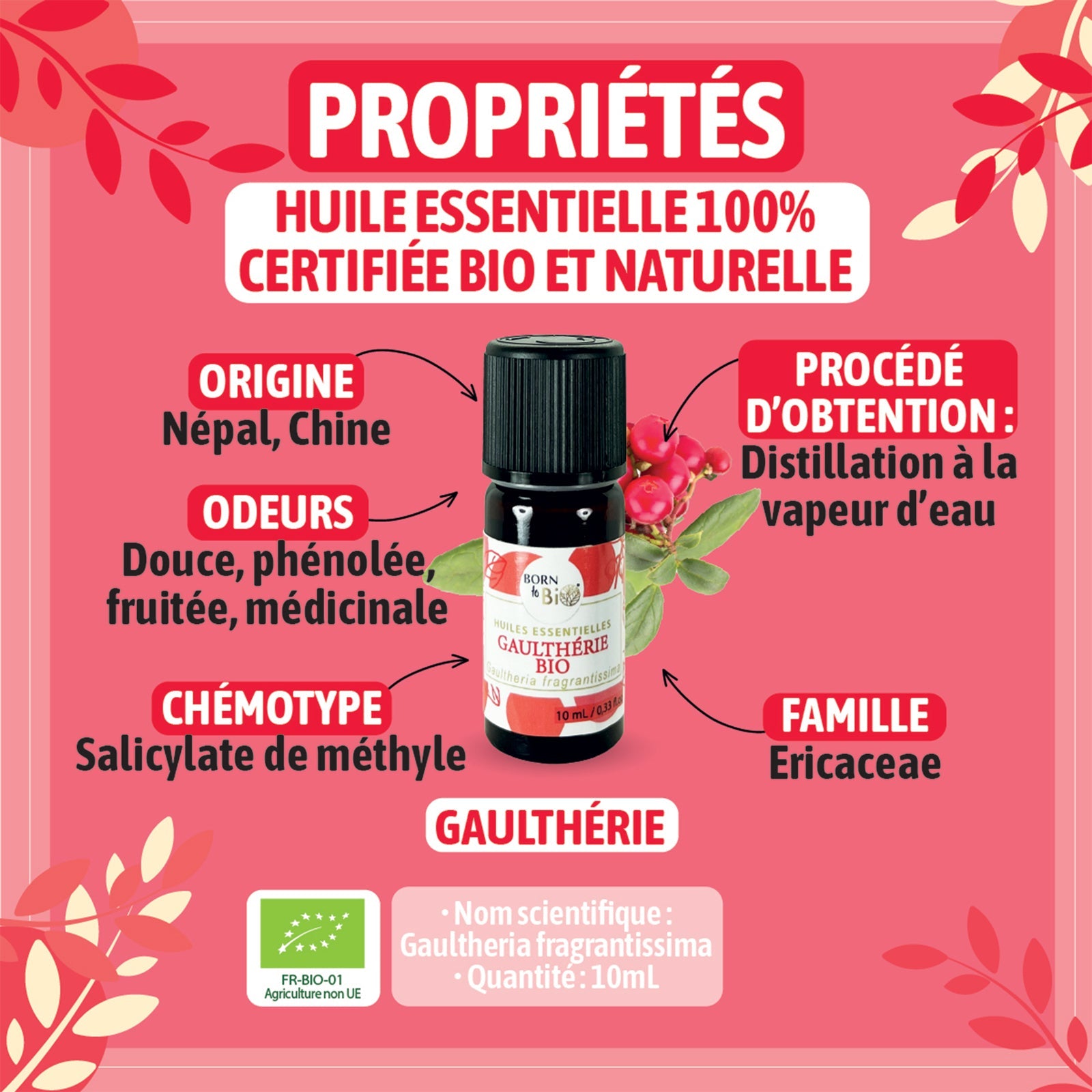 Huile essentielle Gaulthérie Certifiée Bio - 10mL
