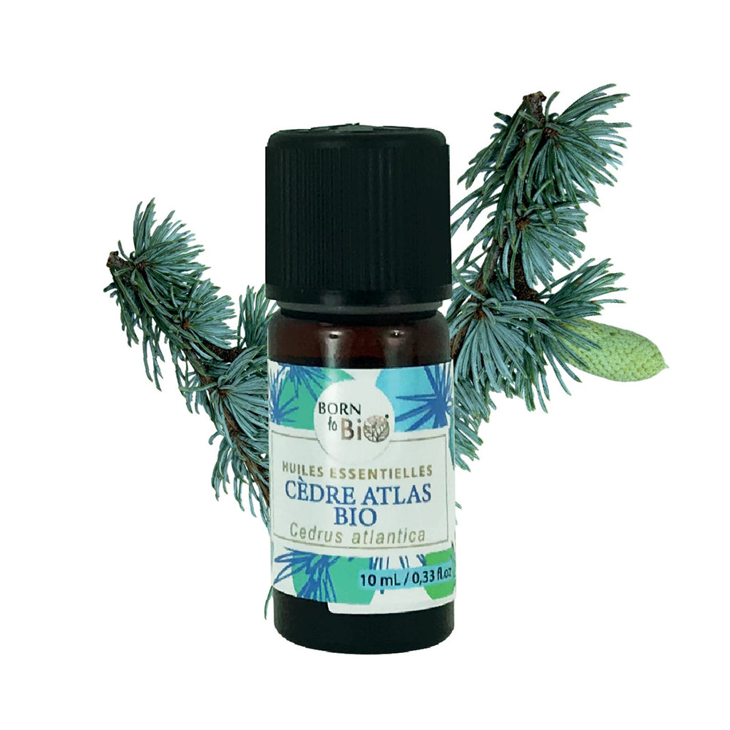 Huile essentielle Cèdre Atlas Certifiée Bio - 10 mL