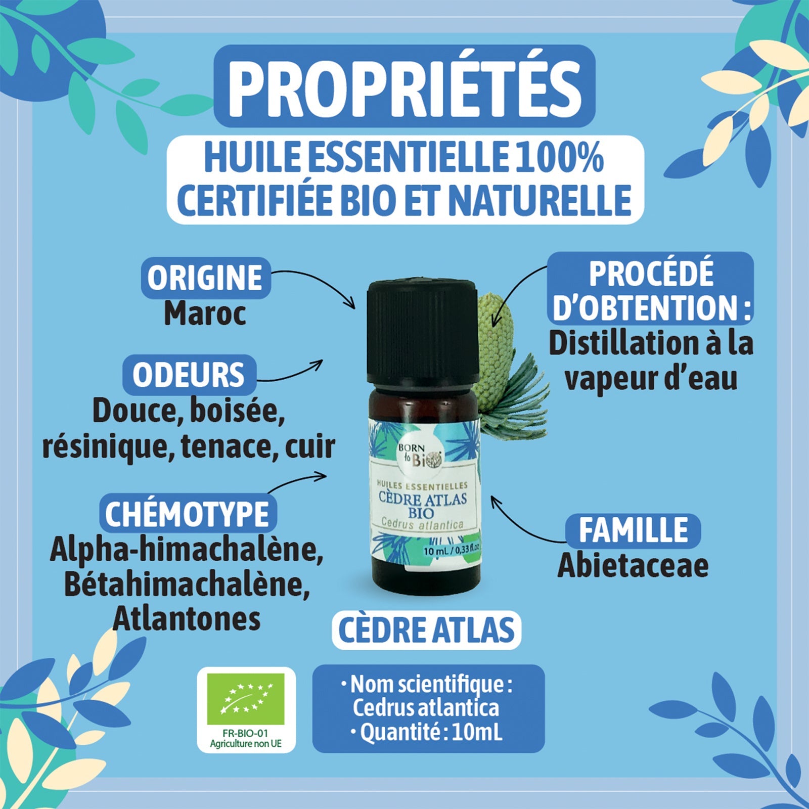 Huile essentielle Cèdre Atlas Certifiée Bio - 10 mL